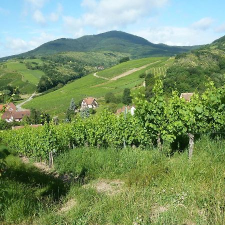 Schiefferberg Villa Bernardvillé Buitenkant foto