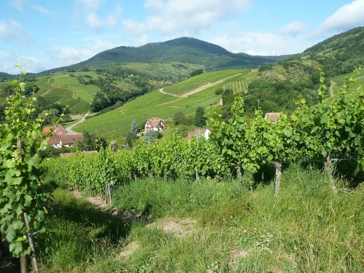 Schiefferberg Villa Bernardvillé Buitenkant foto