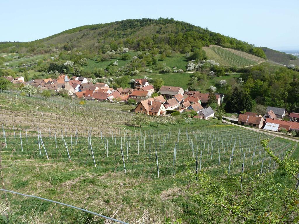 Schiefferberg Villa Bernardvillé Buitenkant foto