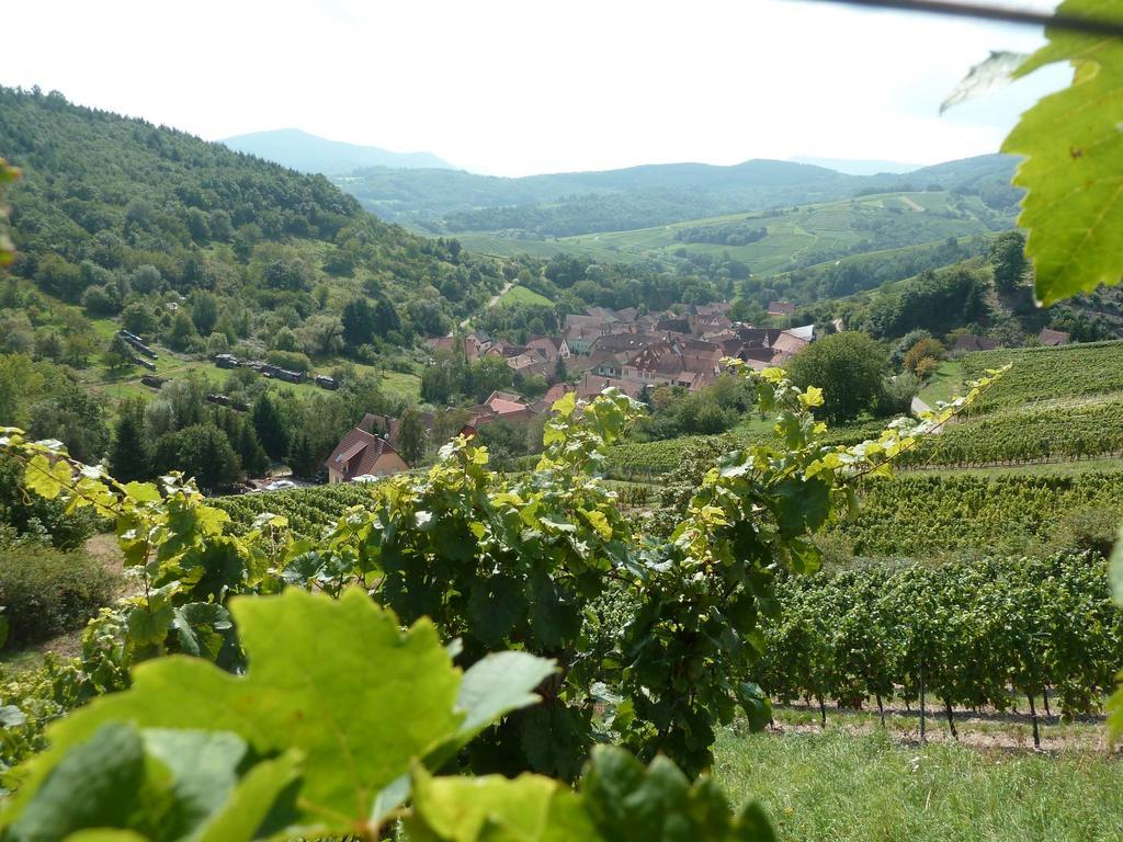 Schiefferberg Villa Bernardvillé Buitenkant foto